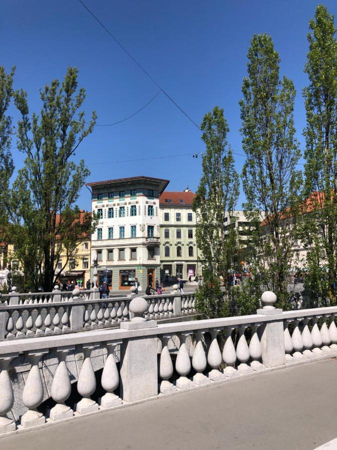 Triple Bridge Ljubljana Apartment Luaran gambar